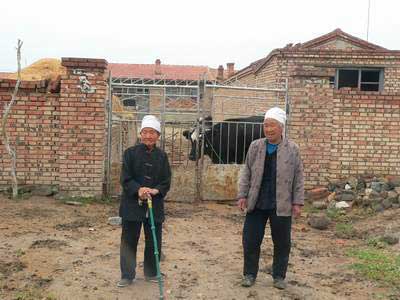 尚义县石井乡马连洼村一条公路穿村而过,往年在这个季节路过马连洼