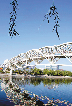 景观桥成了郑州独特风景线