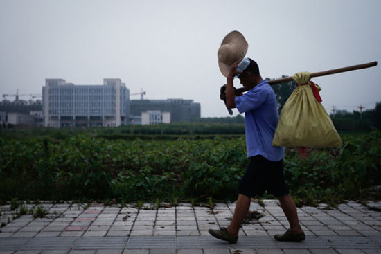 做完农活的老人走在新城的马路上回家，远处一座座豪华建筑拔地而起。澎湃新闻 杨一 图