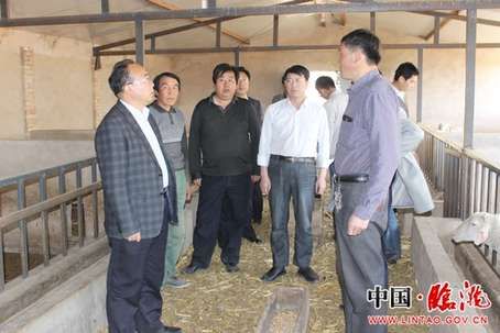 柴生芳生前下乡检查工作