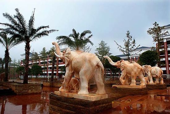  耒阳分校的设施豪华，学校收费同样昂贵。