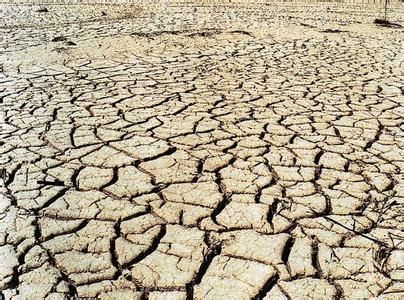 辽宁大旱(资料图)