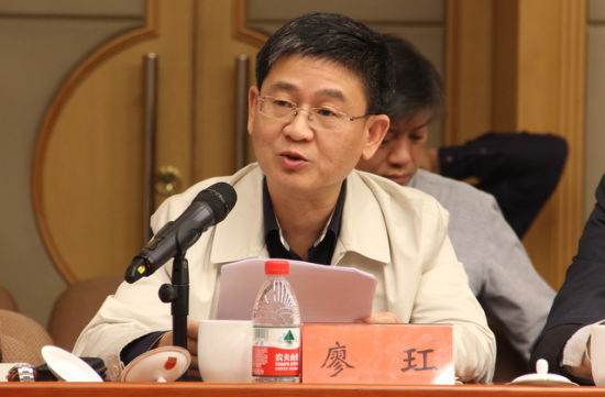 人民网总编辑廖玒