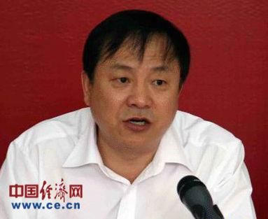 图为中央财办副主任舒国增。（来源：中国经济网）