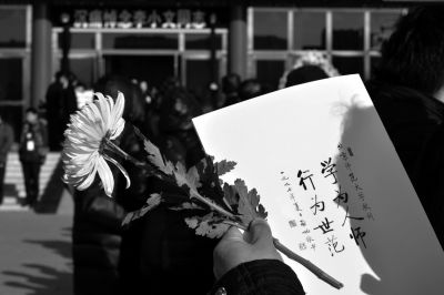 一枝冬菊，寄托无尽心香。京华时报记者 王海欣 摄