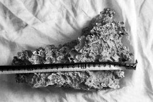 1月30日，新疆青河县牧民别热克·萨吾特意外捡到重7.85公斤左右的一块狗头黄金，这块黄金酷似中国地图。