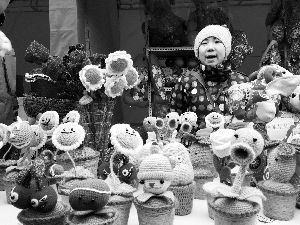 毛线编织的植物大战僵尸