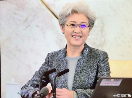 人大发言人傅莹