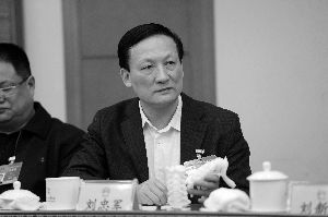 全国人大代表刘忠军