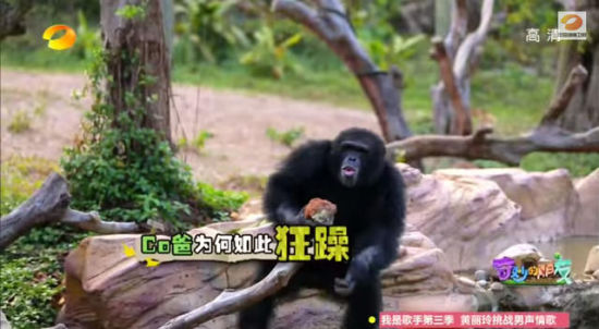 节目内容