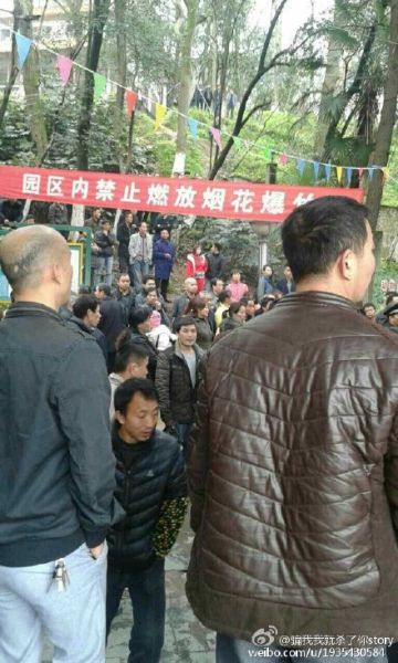 现场图片 来自网友