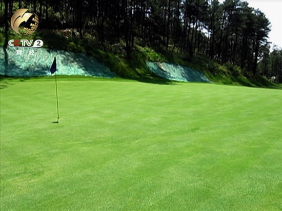 4月10日 记者在贵龙国际养生中心高尔夫球场内看到  球场的草皮绿油油的 几乎看不到杂草 一个个果岭修剪得整整齐齐