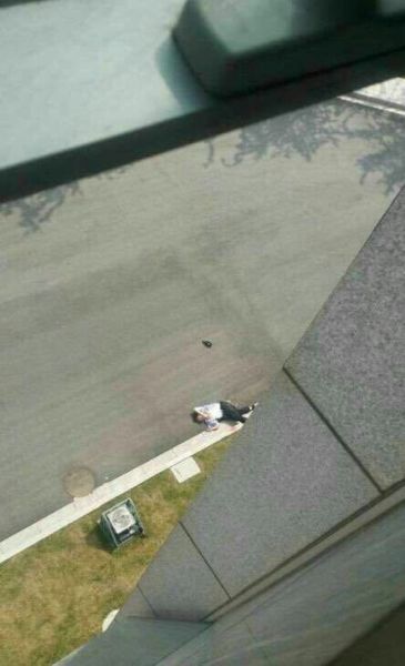 图片来自网络。