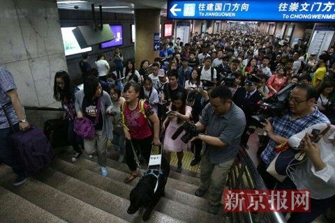 陈燕携带导盲犬乘坐地铁2号线到北京站