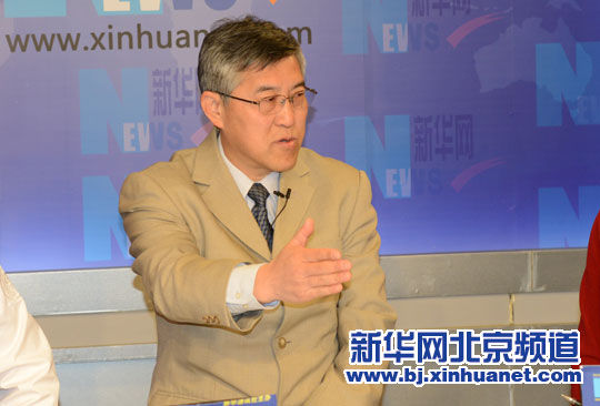 王晨在访谈中。新华网北京频道发 洪轩 摄