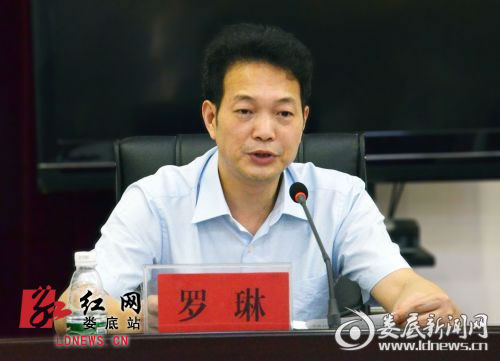 罗琳任市卫生和计划生育委员会党组书记，提名为主任候选人