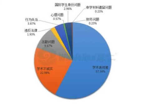 被开除原因及所占比例