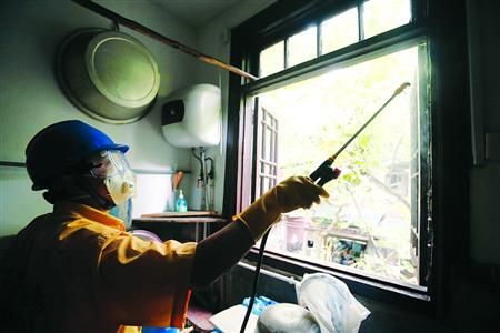 目前已进入一年中白蚁爆发的高峰期，许多灭蚁工作人员都在忙碌。晨报记者　殷立勤