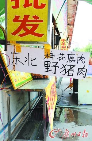 出售梅花鹿和野猪肉的档口招牌。