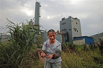 龙珠村村民郭松玉的房门正对着工厂铁围栏，距离仅约20米。按环评要求，居民须迁走后企业才可生产。