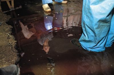 屠宰 被查处的黑窝点内，生猪屠宰后留下的满地猪血没过鞋面。