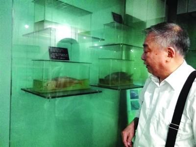 从上海到武汉，记者只在水产研究院见到了“长江鲥鱼”，但只是标本。/晨报记者　彭晓玲