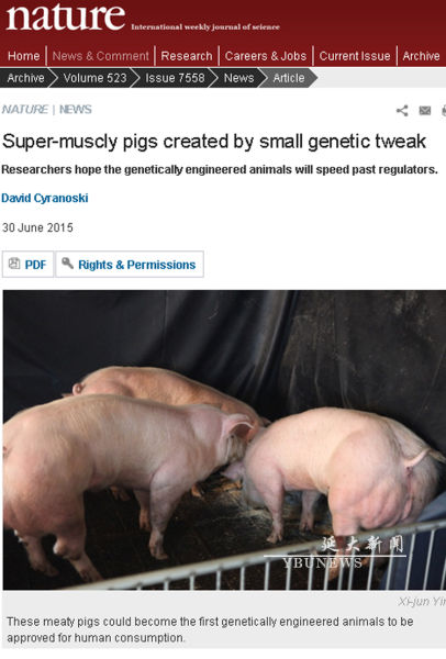图片来自《自然》杂志。