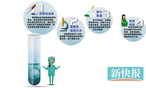 中国国内尚未建卵子库健康未婚女性不能冻卵 手机新浪网