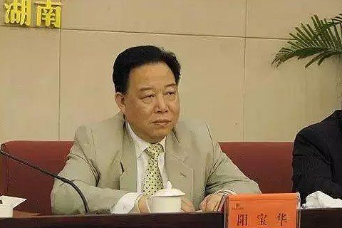 阳宝华资料图