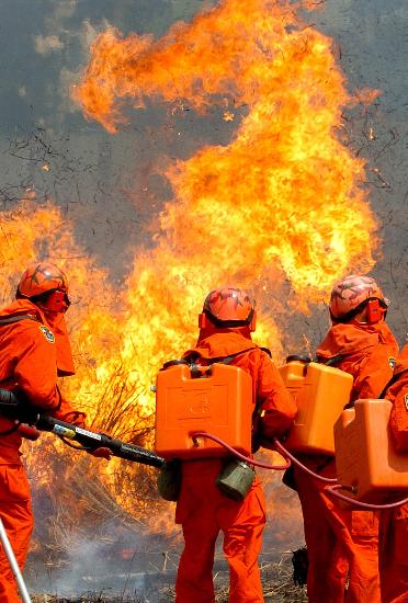 图文:森警苦练战火魔(2)