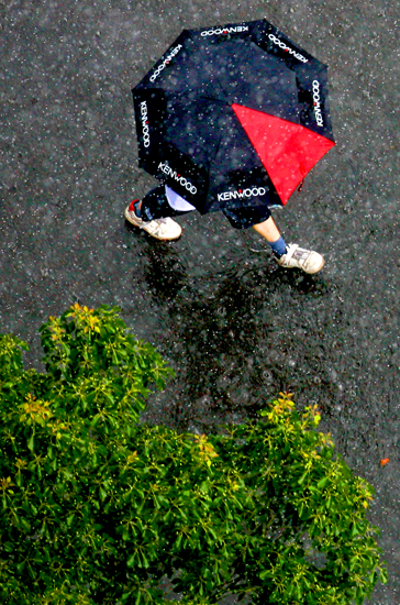 图文:在雨中行走的市民