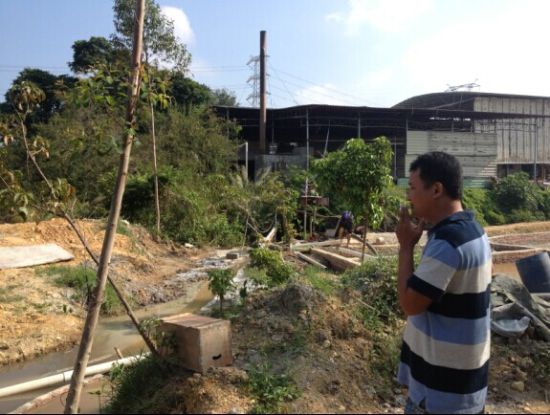 凤河中游，河水浑浊，河边上水葫芦的叶子已经发黄、干枯。