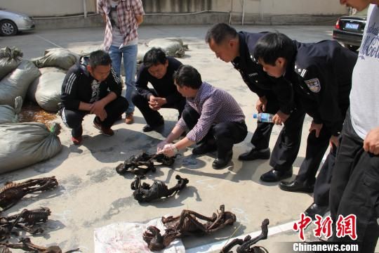 云南保山查获疑似猴类死体52只仅剩骨架 图 手机新浪网 云南保山查获疑似猴类死体52只仅剩骨架 图 手机新浪网