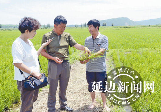 黄南哲(中)回忆，他曾站在习总书记身边介绍农情。徐东旭 摄