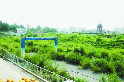 老山小轮车赛场杂草丛生，赛道基本被草丛覆盖。      实习生 王慧冬摄