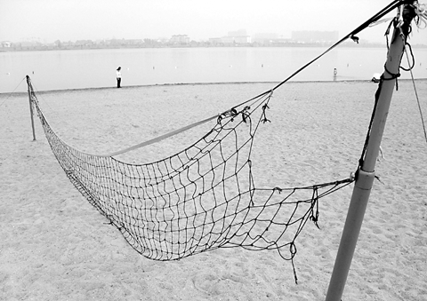 排球网成了"破渔网"