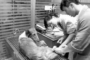 点击图片进入第一页