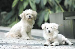 点击图片进入第一页