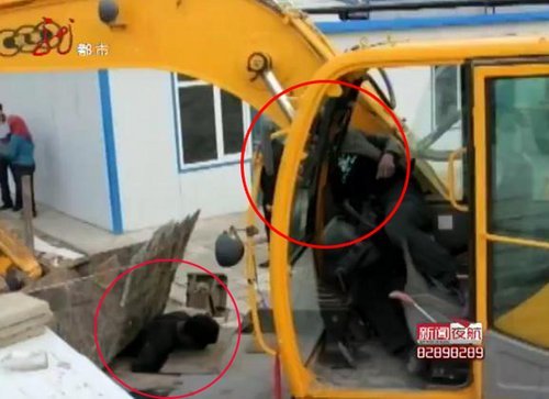 　　事故中不幸遇难的两个人（图左为李宝林，图右为挖土机司机）。