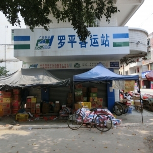 水果摊堵住了罗定市罗平镇客运站的大门。