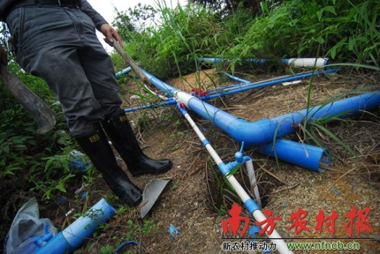用于偷采稀土矿的水管几乎布满整座山头。