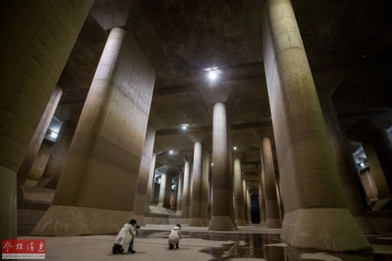 日本下水道总长45.5万公里 可绕地球11圈半