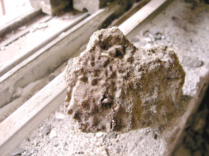 白蚁蛀穿水泥板