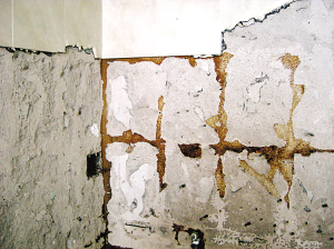 白蚁墙壁痕迹图片