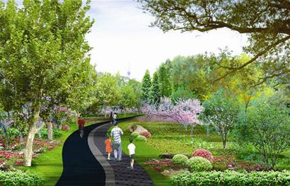 图文:武汉首条人车分离的"森林大道"