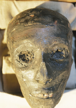 当天,图坦卡蒙的木乃伊被从石棺中转移到特制的玻璃陈列橱中(如右图)