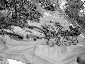 村民在潮汕文状元林大钦墓地发现尸骨及盗贼作案工具本报潮州讯 (记者