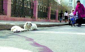 点击图片进入第一页