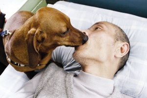 点击图片进入第一页