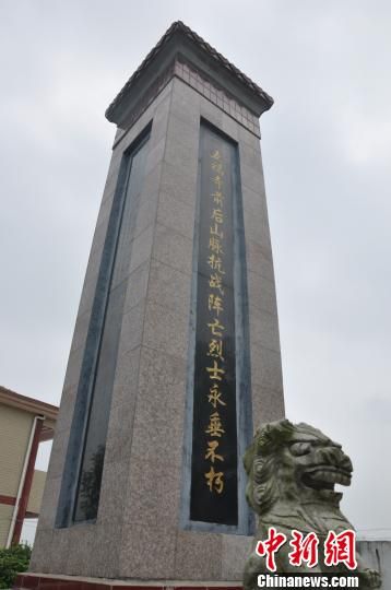 抗战武汉会战外围阻击战:田家镇悲歌